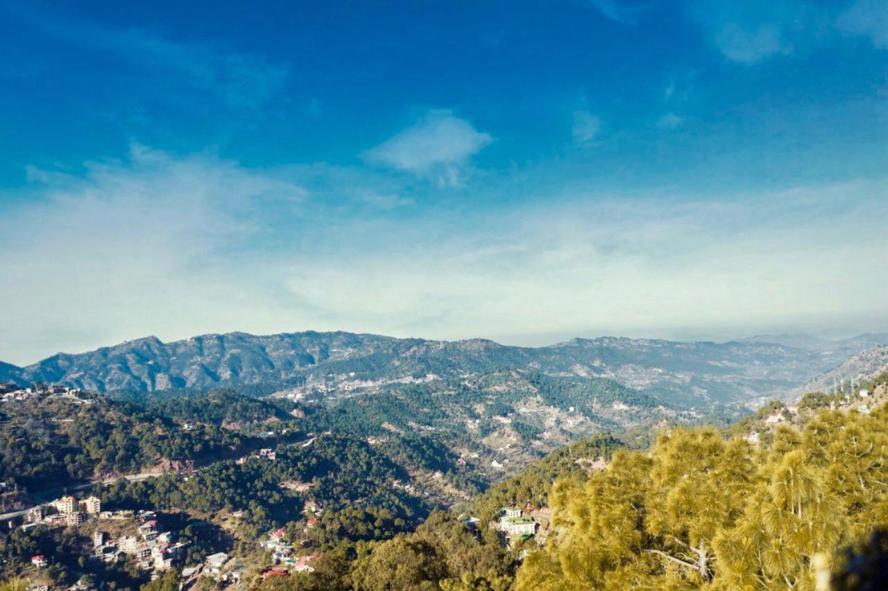 Nature View Resort !! A Four Star Lavish & Luxury Resort Chail Esterno foto