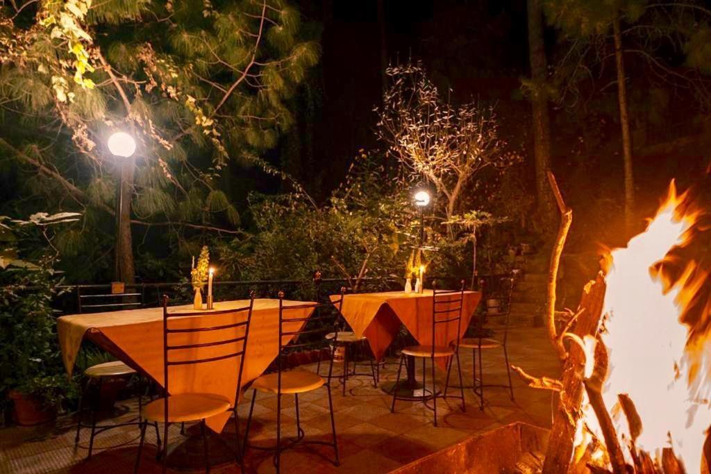 Nature View Resort !! A Four Star Lavish & Luxury Resort Chail Esterno foto